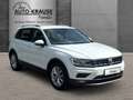 Volkswagen Tiguan 2.0 TDI Highline AHK-klappbar Navi LED Dyn. Kurven Bianco - thumbnail 6