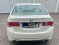 Honda Accord Accord Stufenheck 2.4 Automatik Executive Wit - thumbnail 3