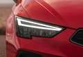 SEAT Ibiza 1.0 TSI S&S Special Edition 115 Gris - thumbnail 25