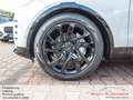 Land Rover Discovery D300 AWD R-Dynamic SE*AHK*Pano*7-Sitz* Blanc - thumbnail 14