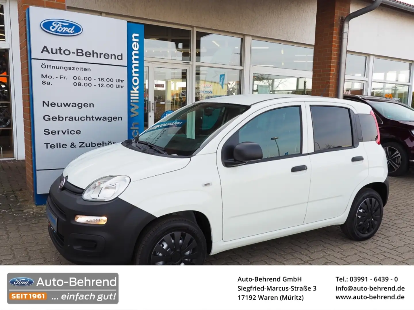 Fiat Panda Van Business Klima 2-Sitzer Trennwand Blanc - 1
