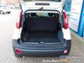 Fiat Panda Van Business Klima 2-Sitzer Trennwand Blanc - thumbnail 6