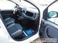 Fiat Panda Van Business Klima 2-Sitzer Trennwand Blanc - thumbnail 3