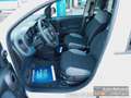 Fiat Panda Van Business Klima 2-Sitzer Trennwand Blanc - thumbnail 10