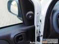Fiat Panda Van Business Klima 2-Sitzer Trennwand Blanc - thumbnail 9