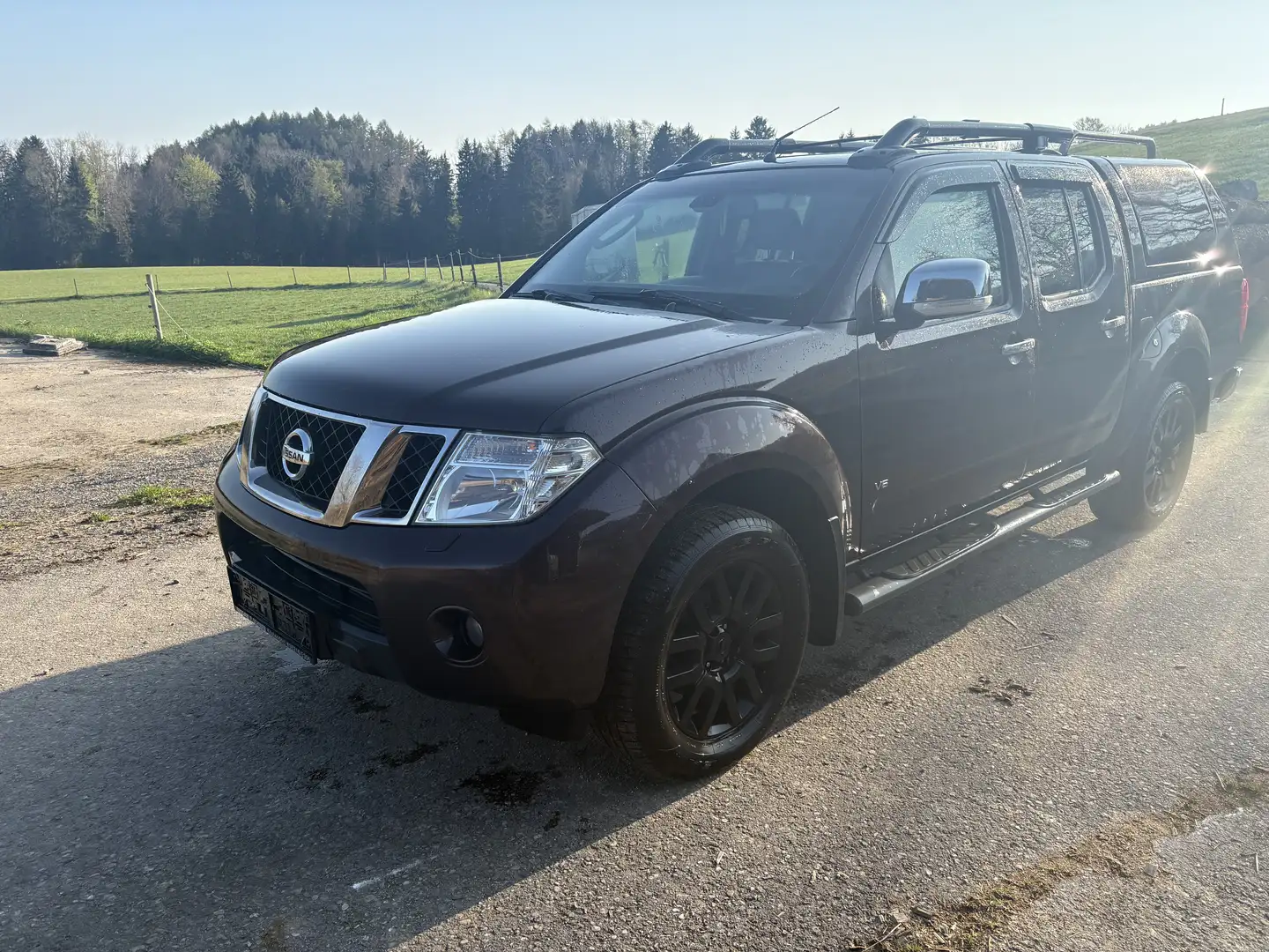 Nissan Navara Braun - 1