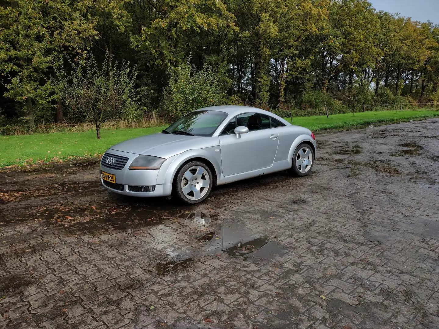 Audi TT TT 1.8 5V Turbo Zilver - 1