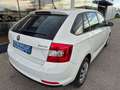 Skoda Rapid/Spaceback Rapid Spaceback 1,6 TDI Sport Weiß - thumbnail 5