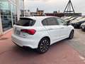 Fiat Tipo 1.6 Mjt S&S 5 porte Blanc - thumbnail 5