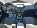 Kia Ceed / cee'd 1.6 CRDi 136 CV MHEV DCT SW Business Grigio - thumbnail 15