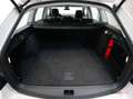 Skoda Octavia Style *DSG*LED*ACC* Weiß - thumbnail 33