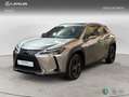 Lexus UX 250h BUSIESS Gris - thumbnail 1