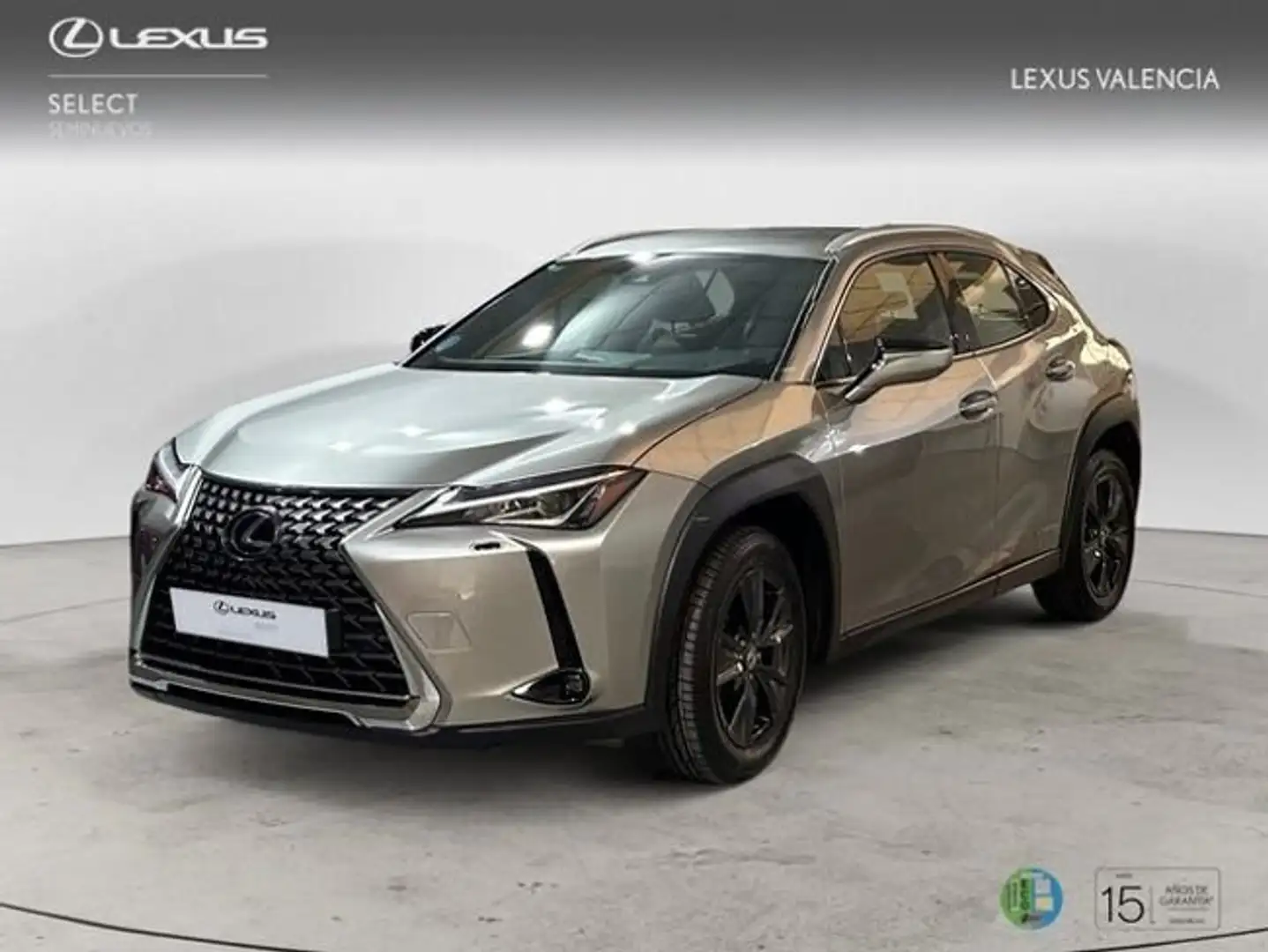Lexus UX 250h BUSIESS Gris - 1