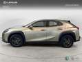 Lexus UX 250h BUSIESS Gris - thumbnail 3