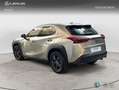 Lexus UX 250h BUSIESS Gris - thumbnail 2