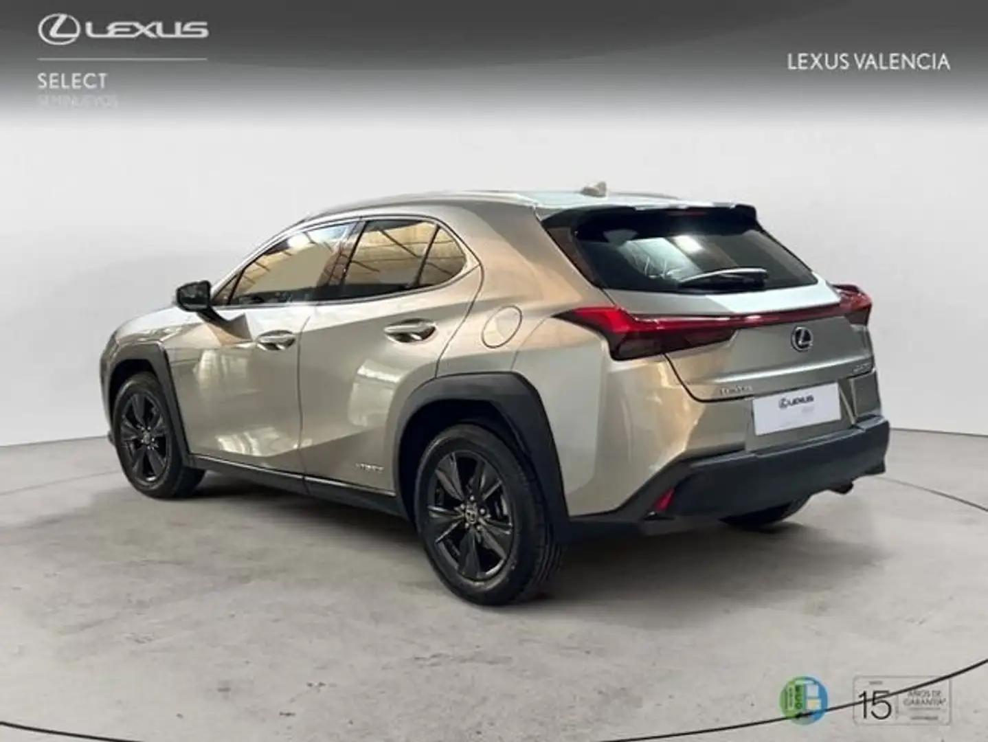 Lexus UX 250h BUSIESS Gris - 2