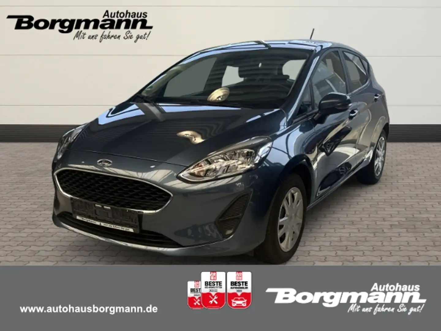 Ford Fiesta Cool & Connect 1.1 EU6d 2017- DAB SHZ LenkradHZG S Blau - 1