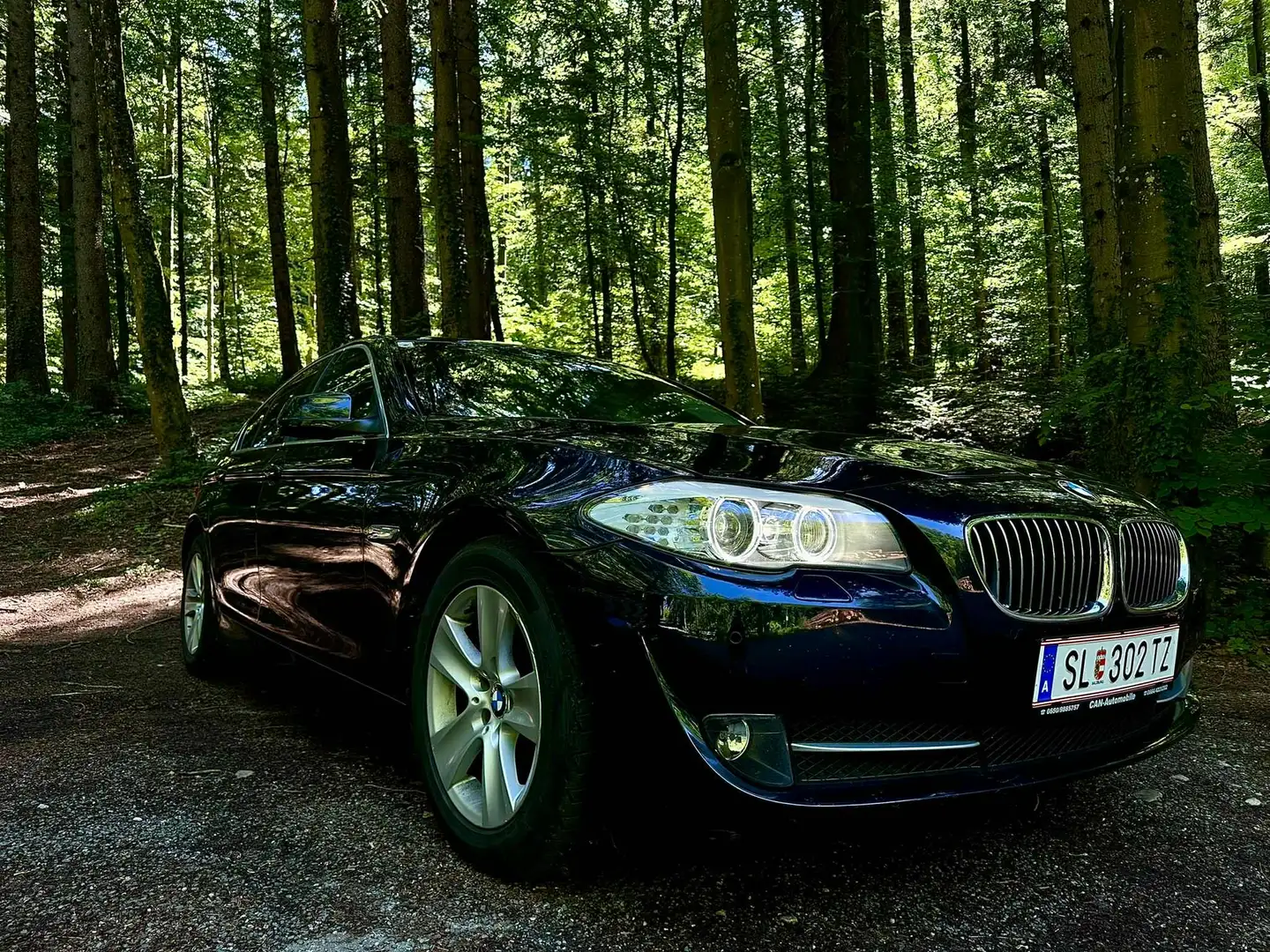 BMW 520 osterreich paket - 2