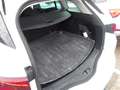 Renault Megane S.T. 1.5dCi Blue Intens 85kW Blanco - thumbnail 16