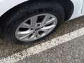Renault Megane S.T. 1.5dCi Blue Intens 85kW Blanco - thumbnail 13