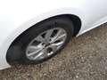 Renault Megane S.T. 1.5dCi Blue Intens 85kW Blanco - thumbnail 12
