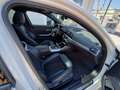 BMW 320 d Business Advantage aut. Blanc - thumbnail 18