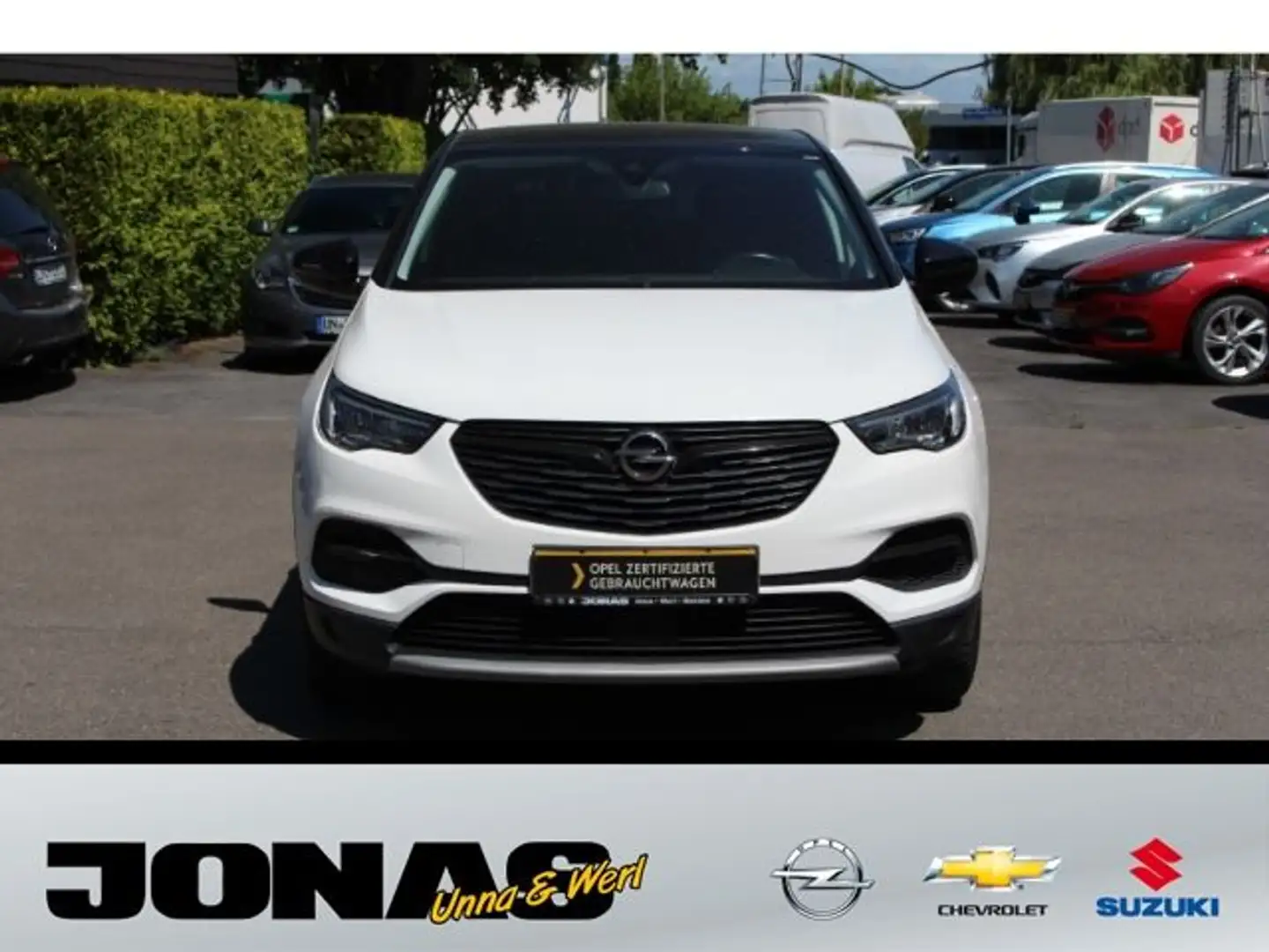 Opel Grandland X 1.6T Elegance Park&Go NAVI DAB+ Wit - 2