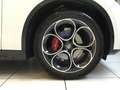 Alfa Romeo Stelvio 2.2 Turbodiesel 210 CV AT8 Q4 Veloce MY24 Blanc - thumbnail 9