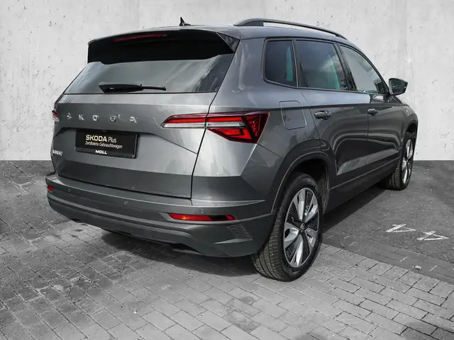 Skoda Karoq view 4