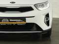 Kia Stonic VISION+NAVI+RÜCKFAHRKAMERA+SITZ-/LENKRADHEIZUNG+PA Blanc - thumbnail 24