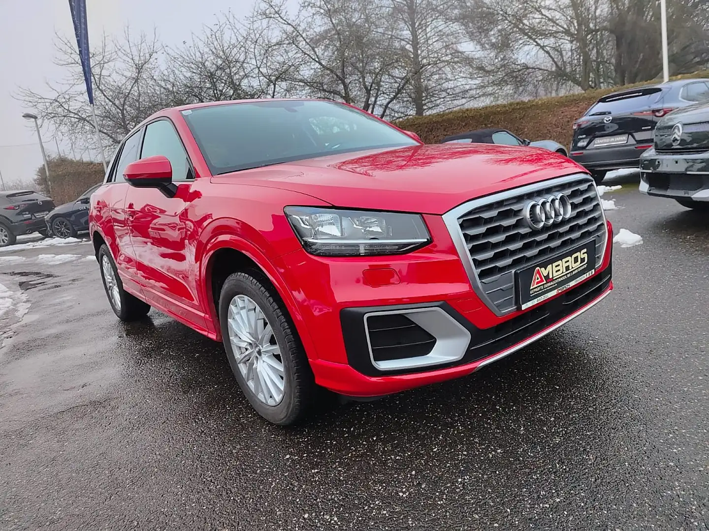 Audi Q2 1,0 TFSI Design Rot - 1