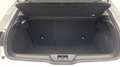 Renault Megane 1.5 Blue dCi 115ch Business - thumbnail 13