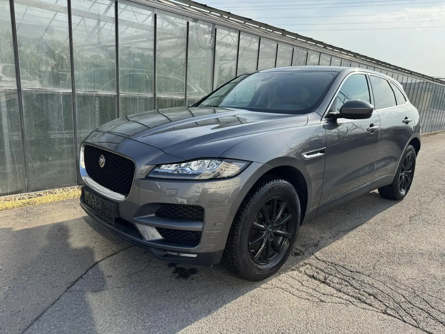 Jaguar F-Pace Prestige AWD - Leder Navi LED Grau - 1