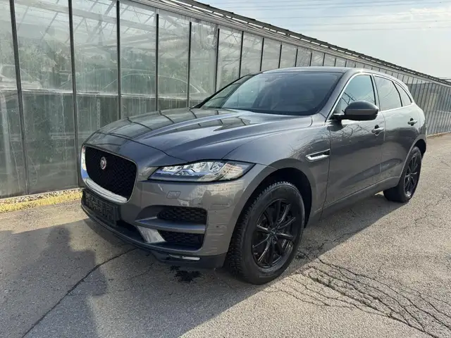 Jaguar F-Pace Prestige AWD - Leder Navi LED