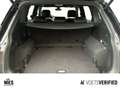 Volkswagen Tiguan Allspace R-Line 2.0 TDI 4Motion DSG AHK+MATRIX-LED+ACC Schwarz - thumbnail 17
