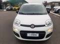 Fiat Panda 1.2 Easy easypower Gpl 69cv Weiß - thumbnail 5