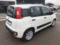 Fiat Panda 1.2 Easy easypower Gpl 69cv Weiß - thumbnail 3