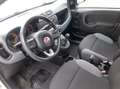 Fiat Panda 1.2 Easy easypower Gpl 69cv Weiß - thumbnail 11