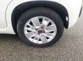 Fiat Panda 1.2 Easy easypower Gpl 69cv Weiß - thumbnail 12