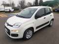 Fiat Panda 1.2 Easy easypower Gpl 69cv Weiß - thumbnail 2