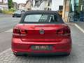 Volkswagen Golf VI Cabriolet Xenon Navi SHZ PDC Tempo AHK Rot - thumbnail 5