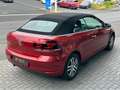 Volkswagen Golf VI Cabriolet Xenon Navi SHZ PDC Tempo AHK Rot - thumbnail 4