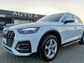 Audi Q5 35 2.0 TDI MHEV BUSINESS ADVANCED S-TRONIC Bianco - thumbnail 3