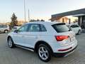 Audi Q5 35 2.0 TDI MHEV BUSINESS ADVANCED S-TRONIC Bianco - thumbnail 7