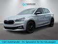 Skoda Fabia 130 Jahre 1.0 MPI 59 kW / 80 PS 5-Gang Silber - thumbnail 1