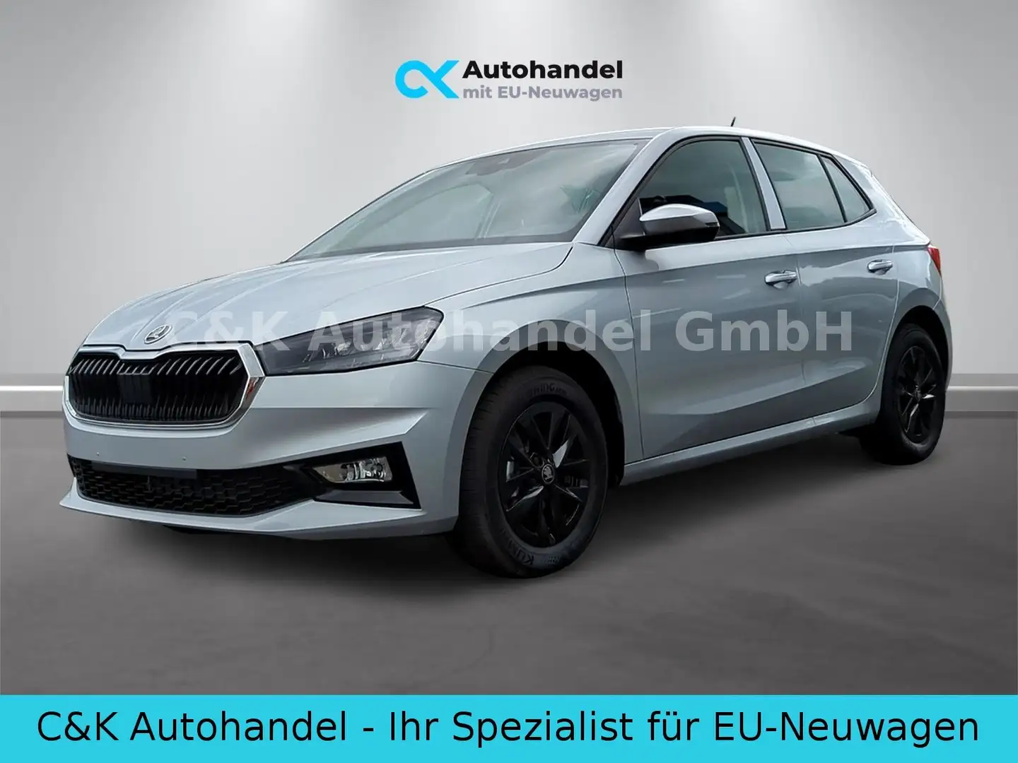 Skoda Fabia 130 Jahre 1.0 MPI 59 kW / 80 PS 5-Gang Silber - 1