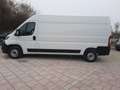 Fiat Ducato Kastenwagen 35 140 M L3/H2 Navi Kamera Blanco - thumbnail 9