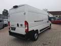 Fiat Ducato Kastenwagen 35 140 M L3/H2 Navi Kamera Blanco - thumbnail 6