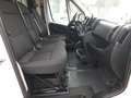 Fiat Ducato Kastenwagen 35 140 M L3/H2 Navi Kamera Blanco - thumbnail 26