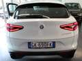 Alfa Romeo Stelvio Stelvio 2022 2.2 t Business rwd 160cv auto Weiß - thumbnail 6